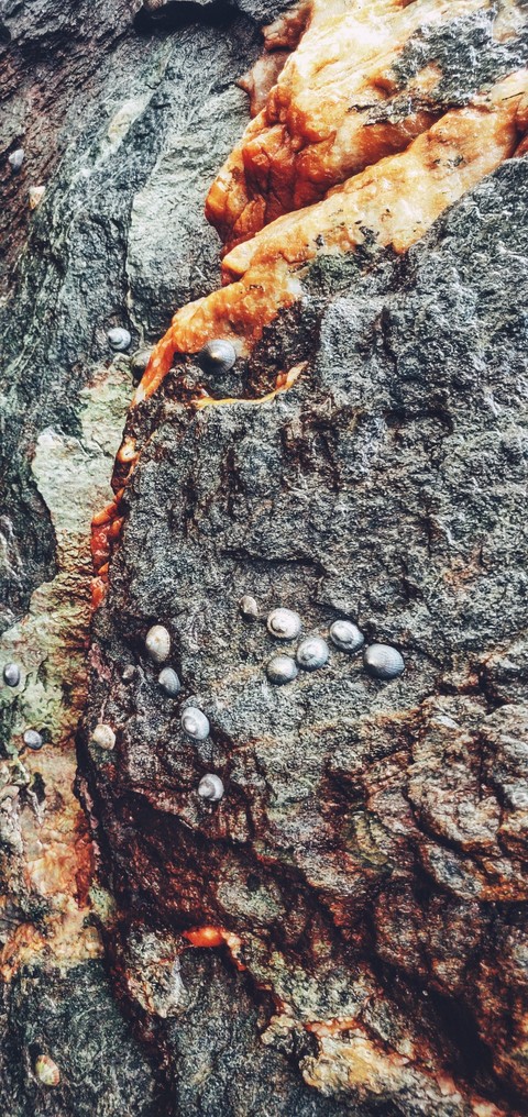 Beach rock