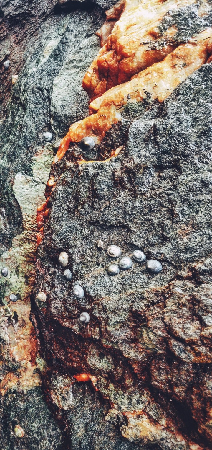 Beach rock