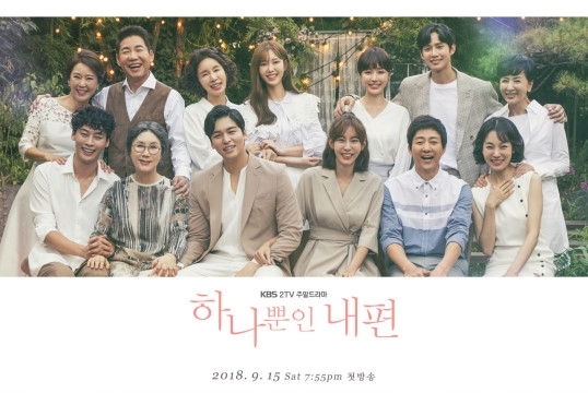 하나뿐인 내편
