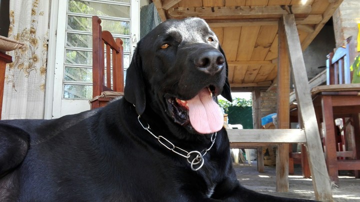 Teodoro<3