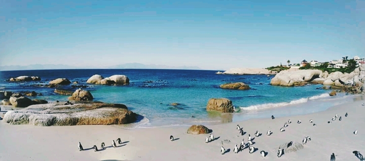 Boulder's beach