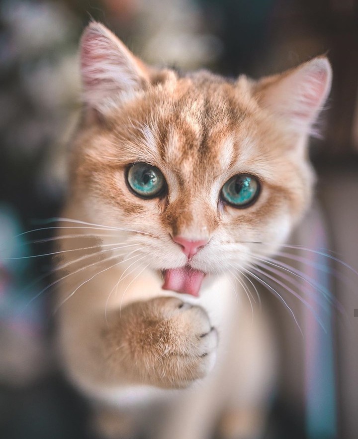 ☺️☺️☺️