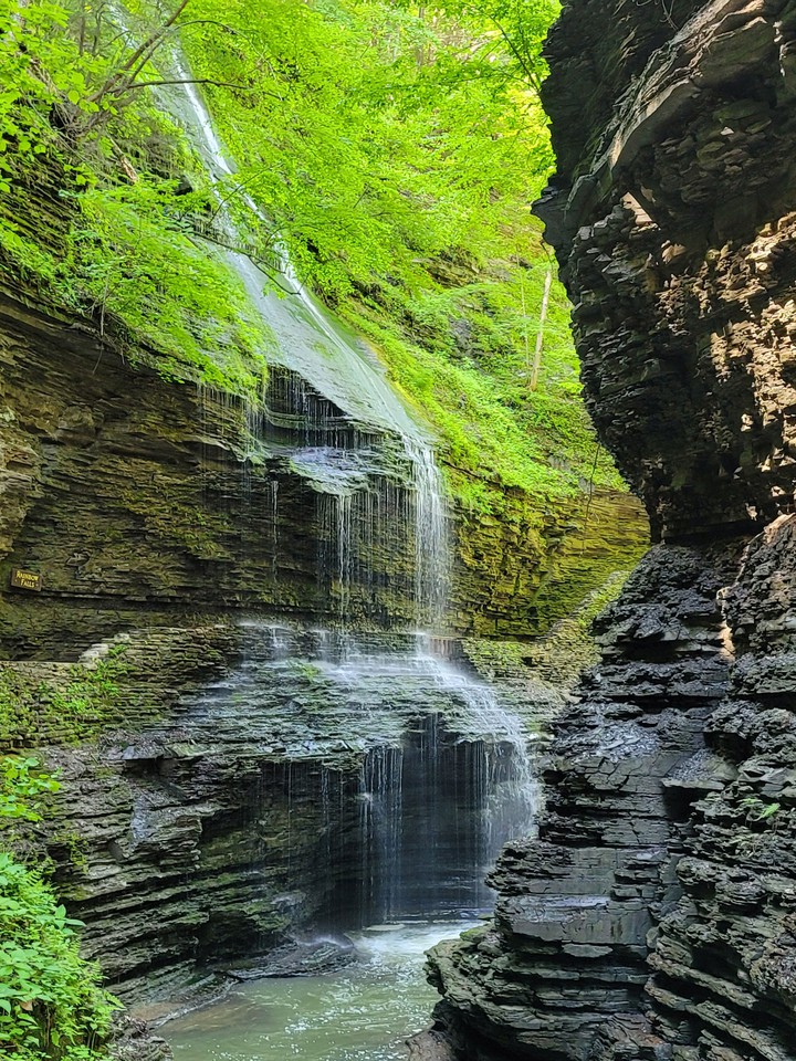 Watkins Glen, Ny