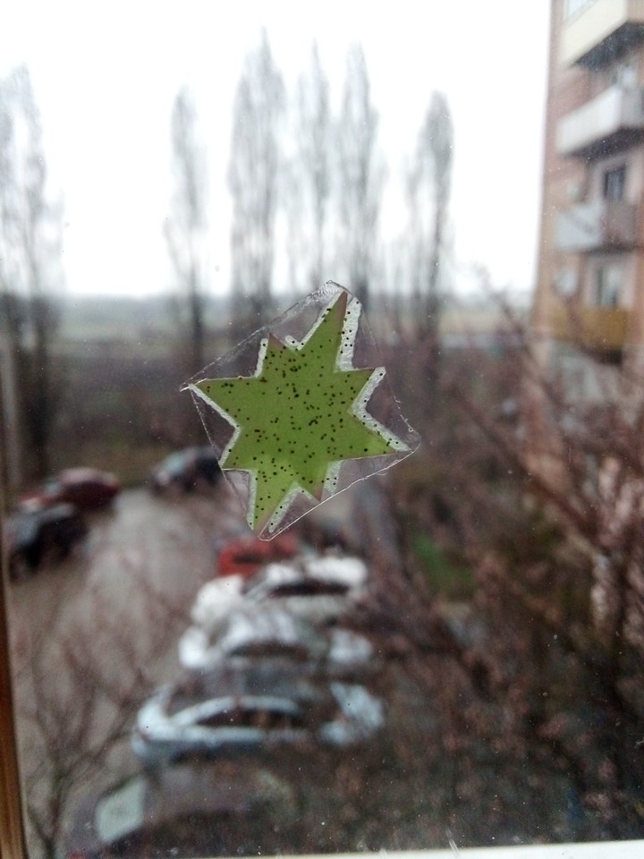 весна и окно✌?