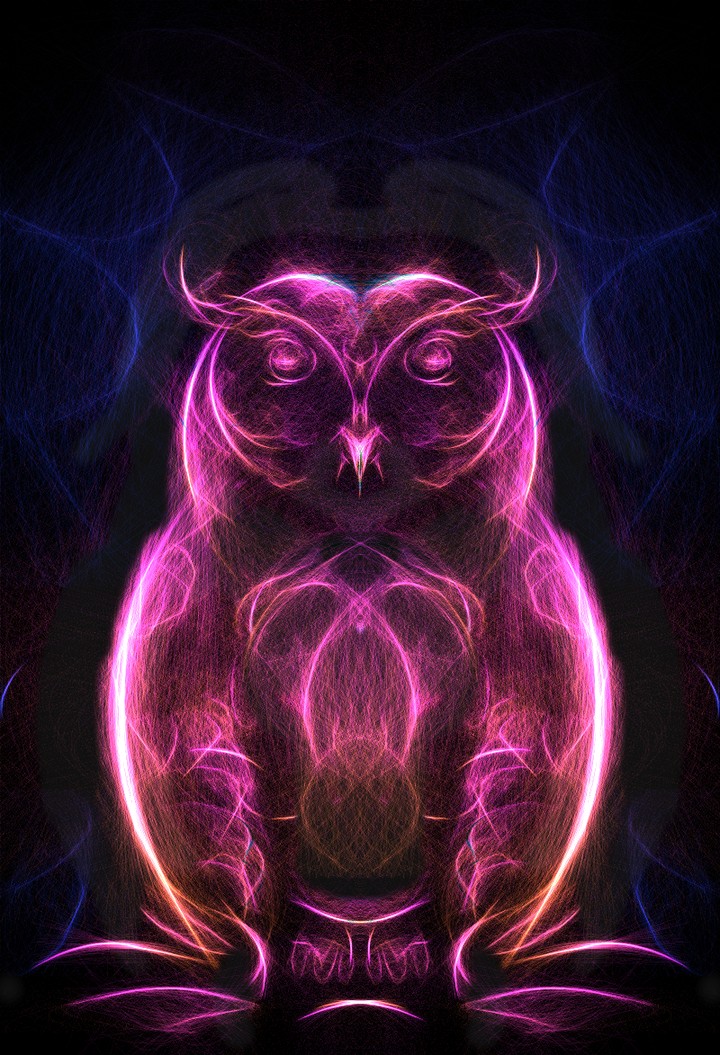 owl