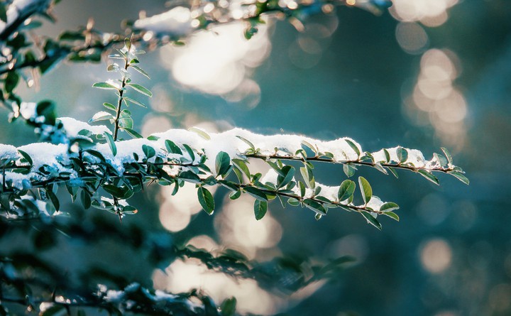 snow