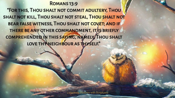 romans 13:9