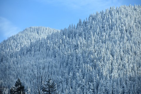 White Mountain