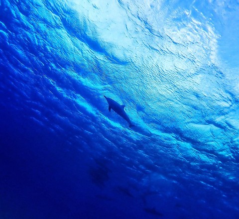 sfondi underwater, liquid
