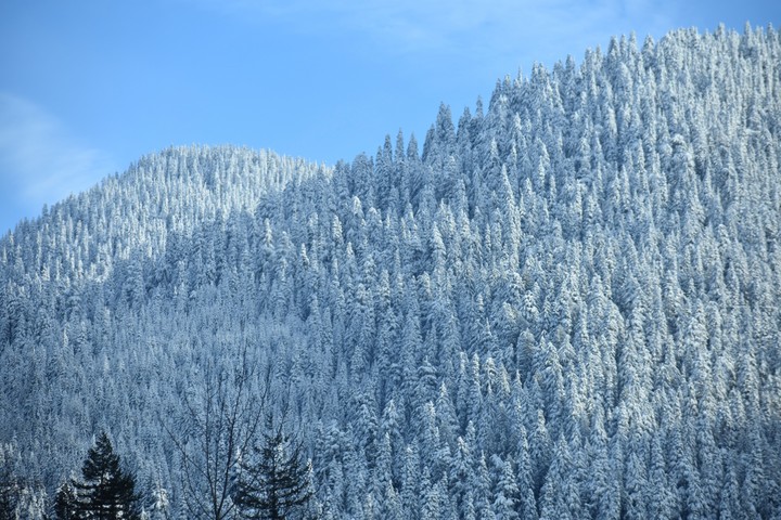 White Mountain