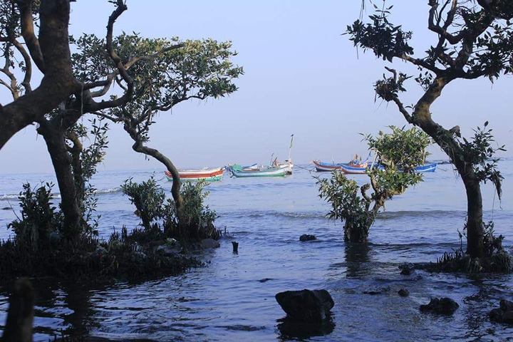 sea Shore