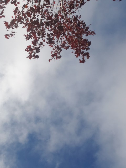ταπετσαρίες branch, daytime