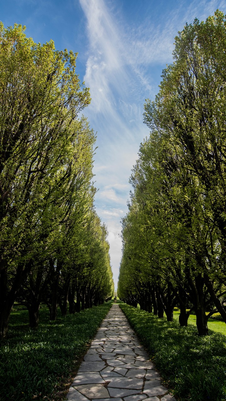One Way