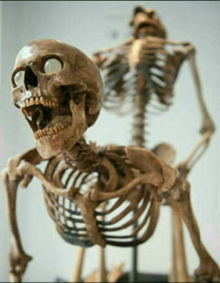 gds