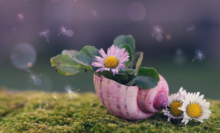 ❁✨❁