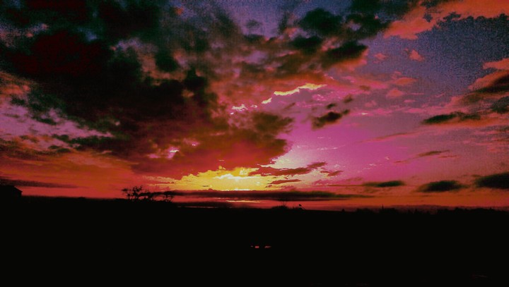 Purple sunset