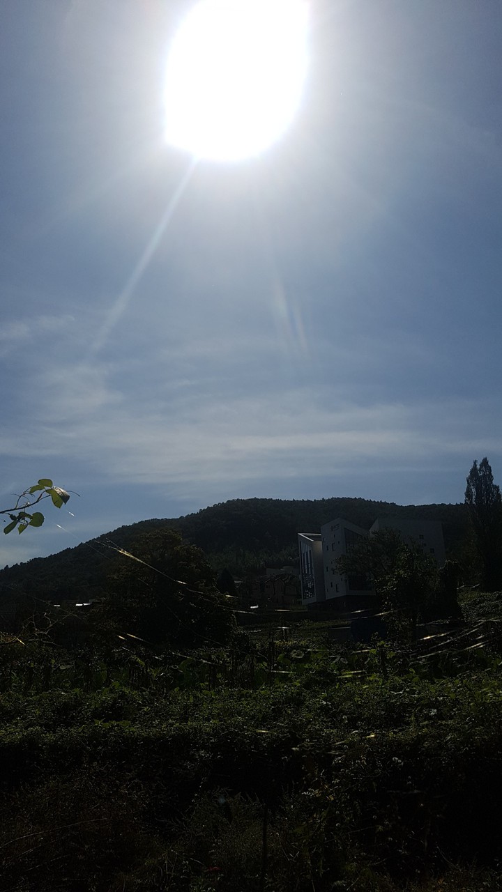 sun