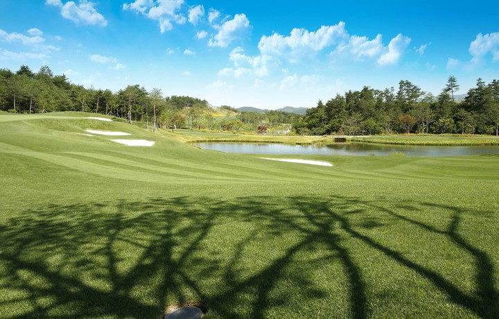 Golf Course