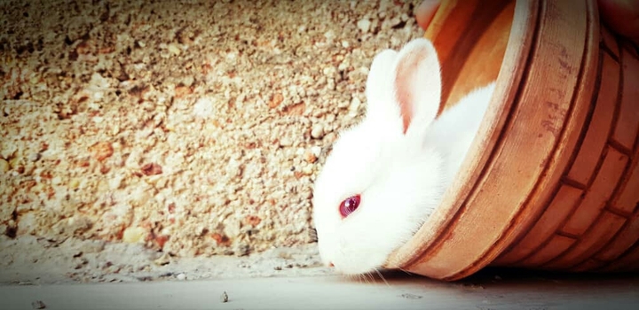 ☺☺☺