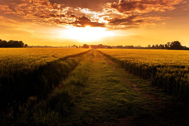Sunset