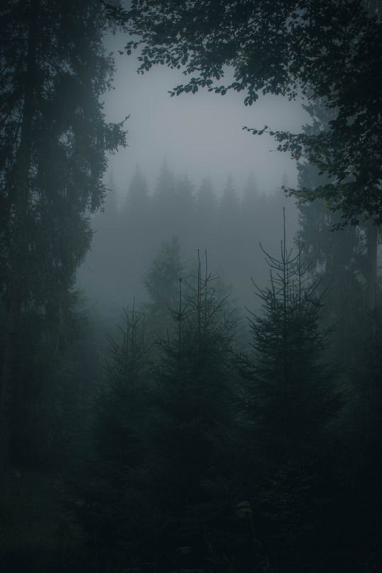 ,