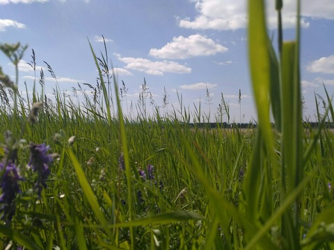 summertime