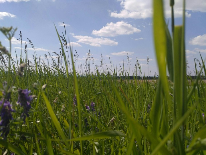 summertime