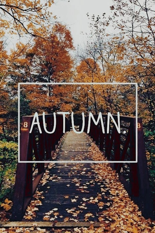 autumn