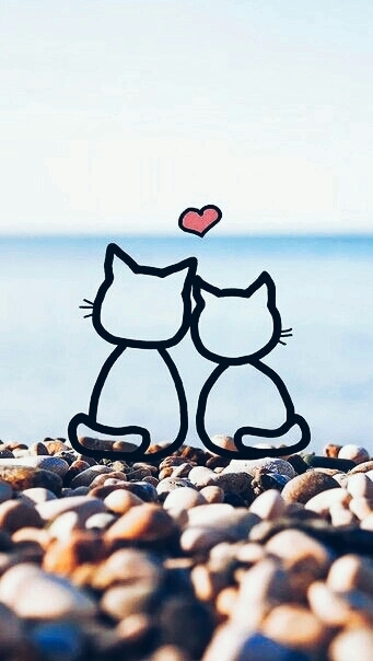 ❤❤