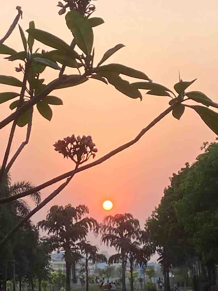 sunsets