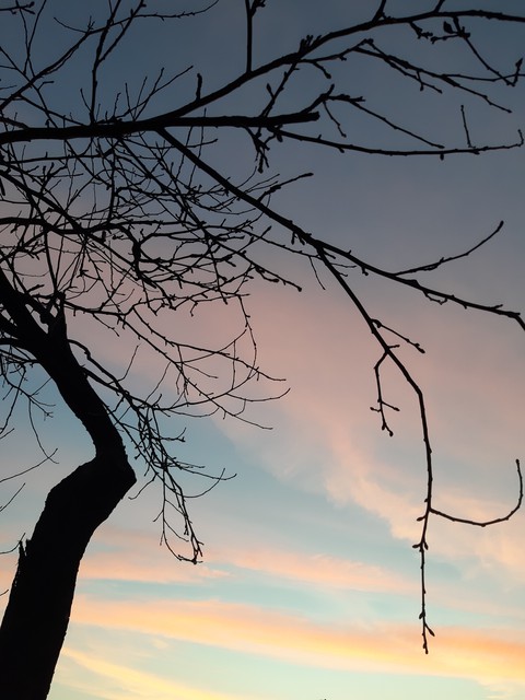 Candy sky