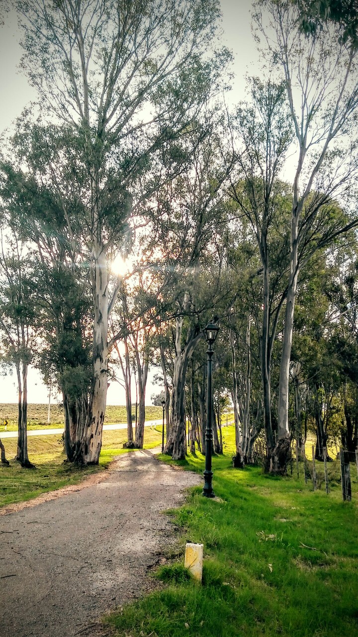 Nature and exercise