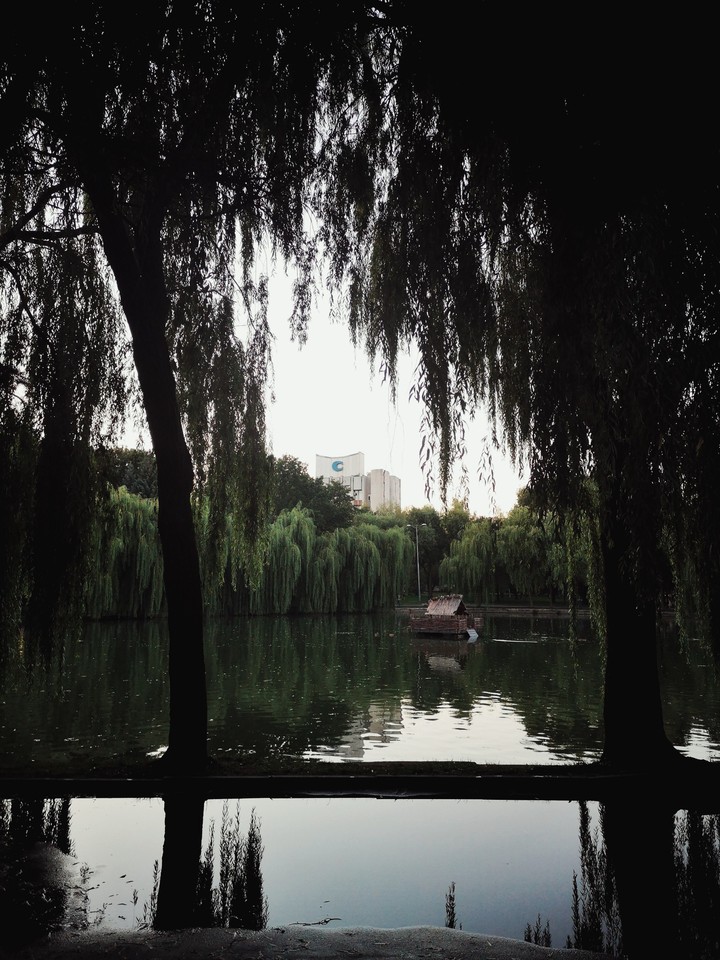 Lake in the park, Ukraine, Rivne