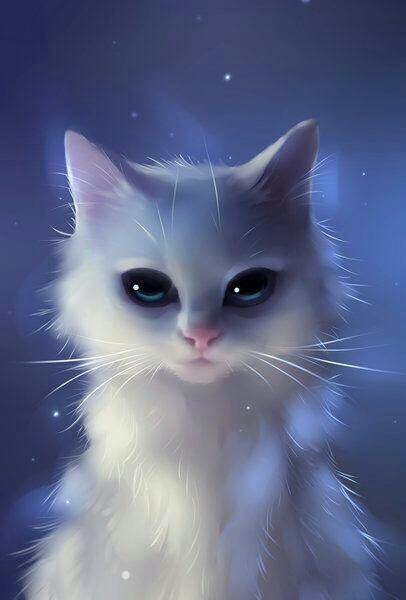 white cat