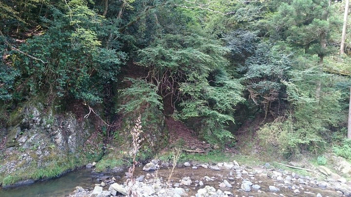 from Japan