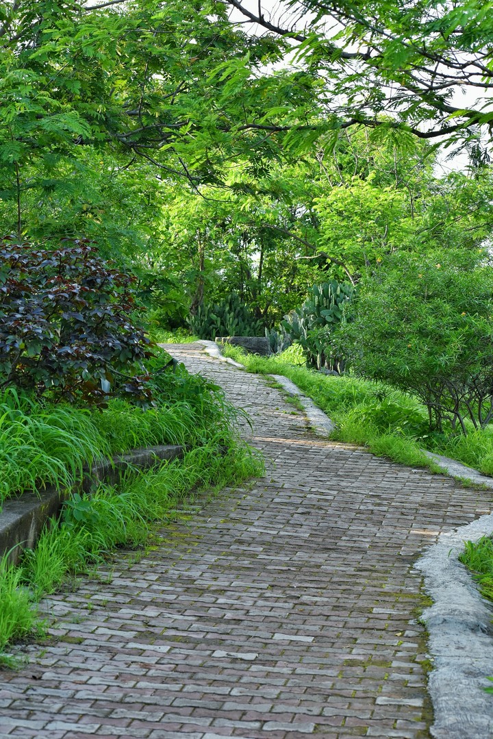 wild trail