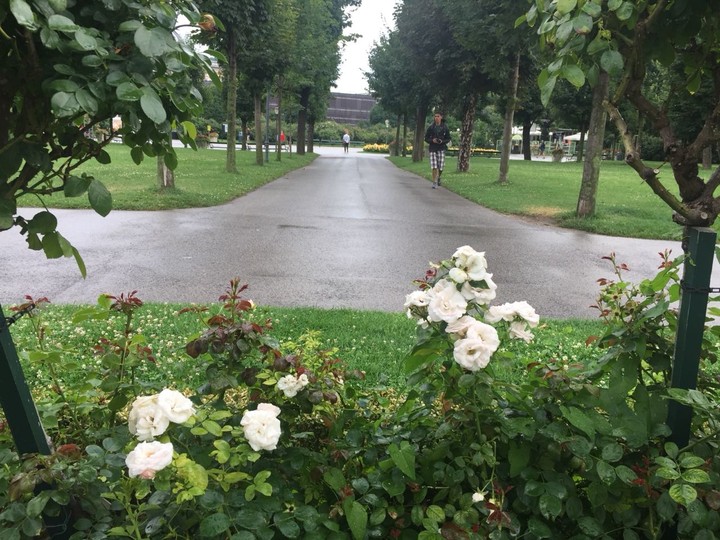 rosegarden