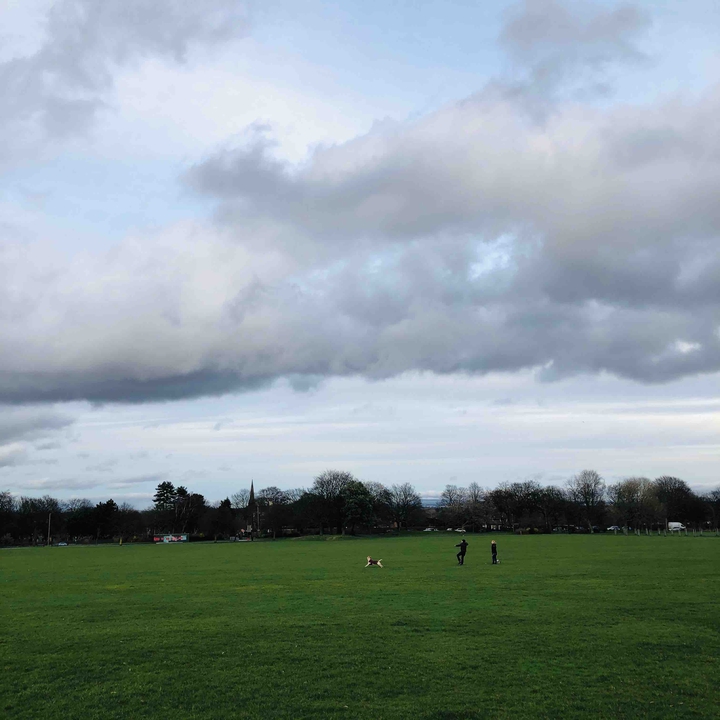 park