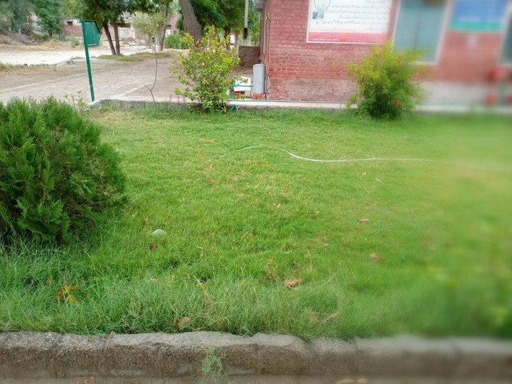 SAWAN GREEN ,, ساون سبزہ زار