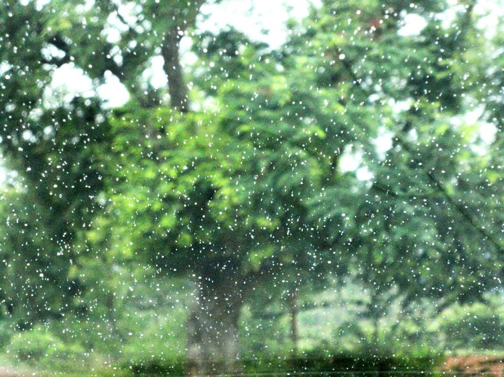 water drops in the glass