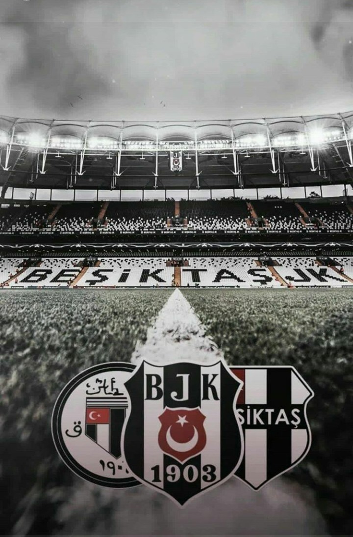 Vodafone Park