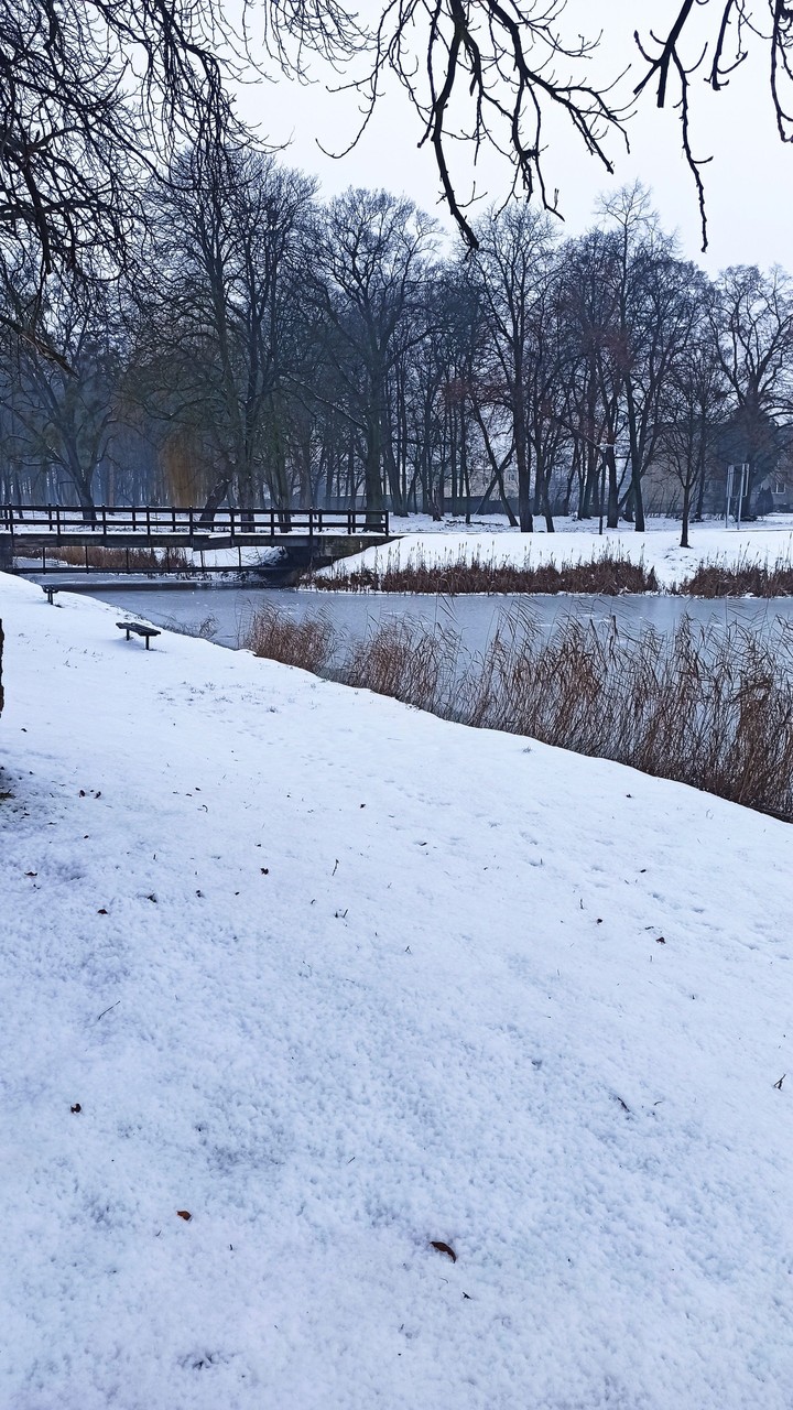 snow