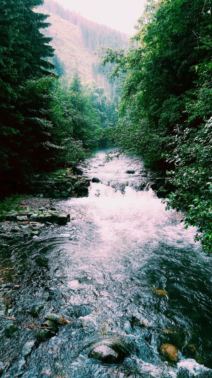 naturelover