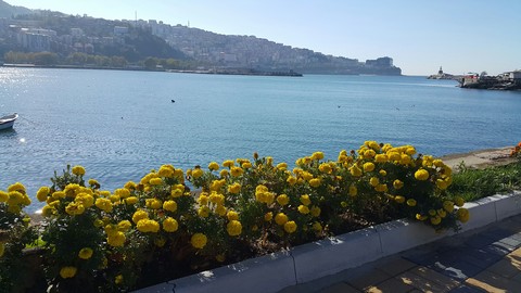 Zonguldak Manzarasi