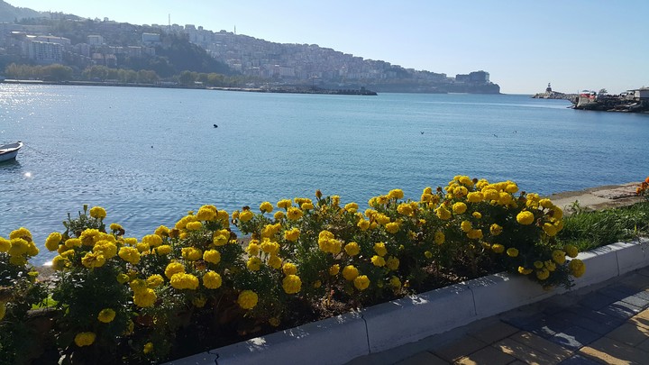 Zonguldak Manzarasi
