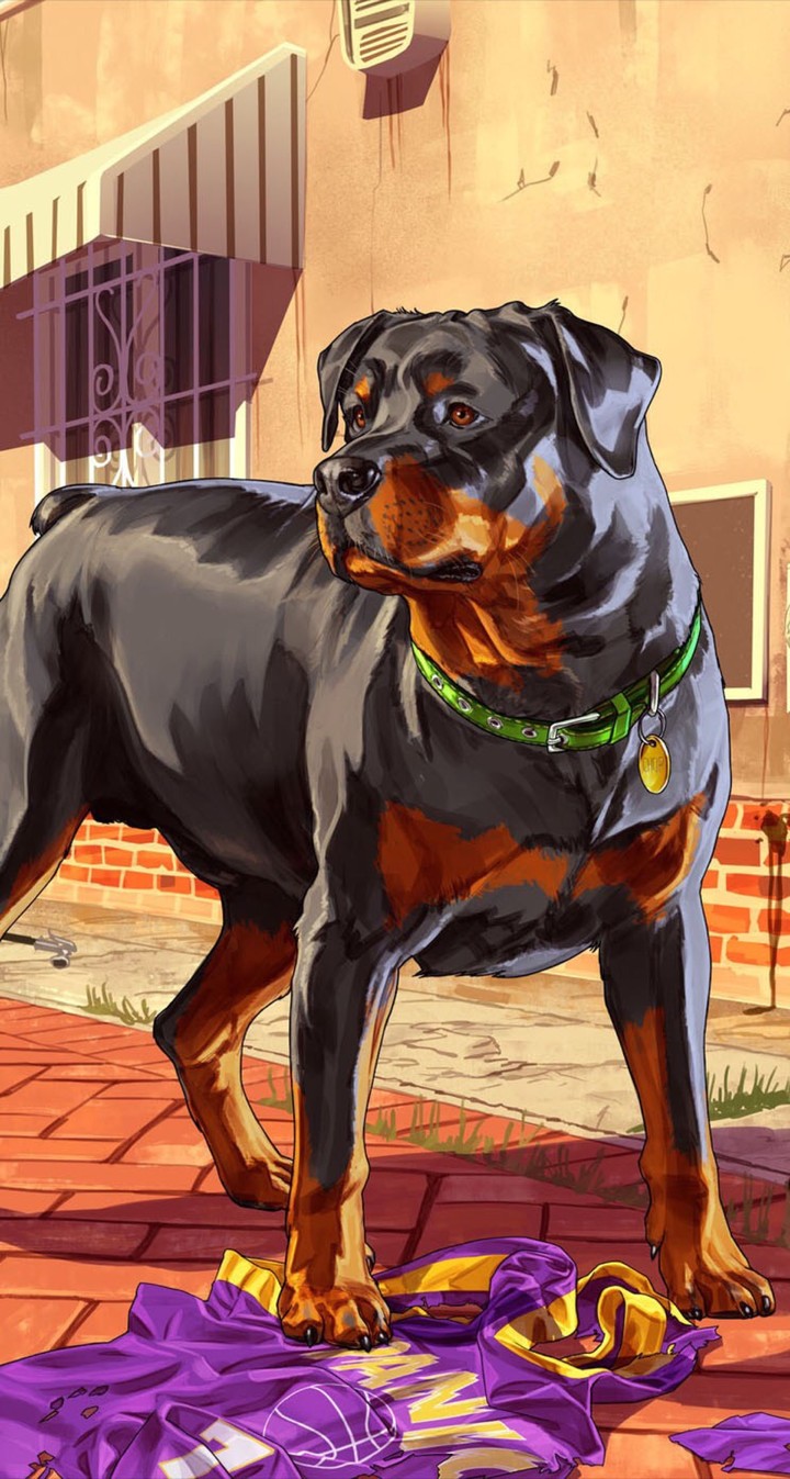 DOG