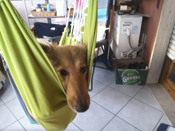 sospesa