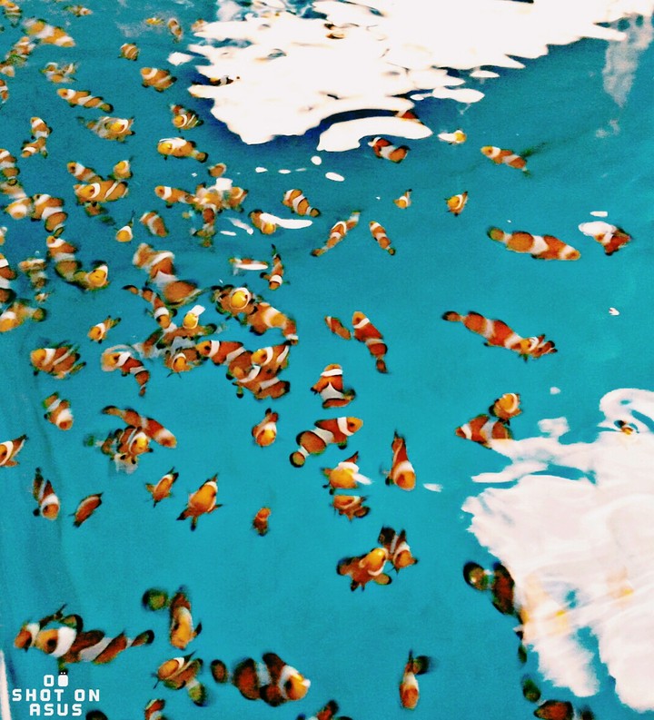 Aqua Culture, Tamilnadu