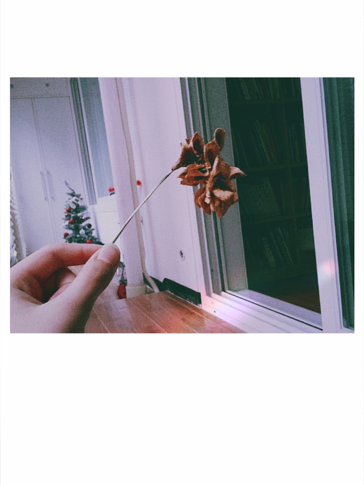 시들어 버린 꽃..