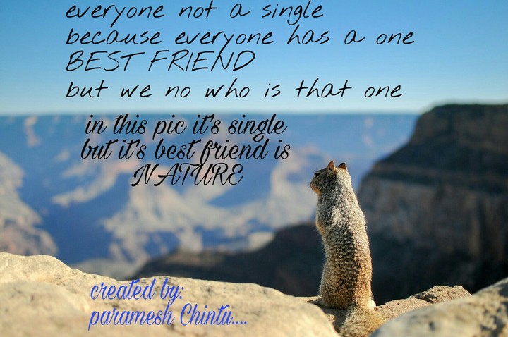 Friendship